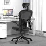 TLLMOON-6065 Detailed Micro-Adjustable Seat, Lift and Move Seat, 2D Lumbar Support, 2D Armrest with Headrest. Study Chair, Computer Gaming Chair. (Black)