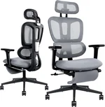 Ergonomic Mesh Office Chair with Retractable Footrest - High Back Computer Chair, Lumbar Support, Adjustable Armrest and Headrest, Durable Base - Multifunctional Home Office Desk Chair for Adults