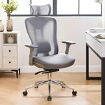 LuxErgo Ergonomic Office Chair Mesh Office Desk Chair Executive Task Chair with Lumbar Support, SGS Certified Gas Cylinder, 300 LBS Capacity, Gaming Chair for Big and Tall People, Slide Seat, Grey